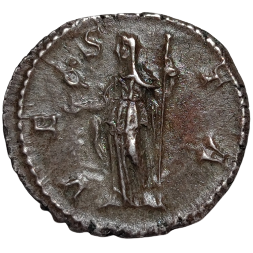 Empire romain, Julia Mamée, denier