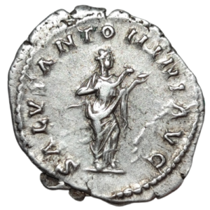 Empire romain, Elagabal, antoninien