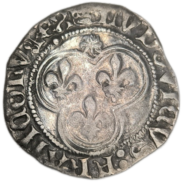 Louis XI, blanc au soleil Saint-Lô