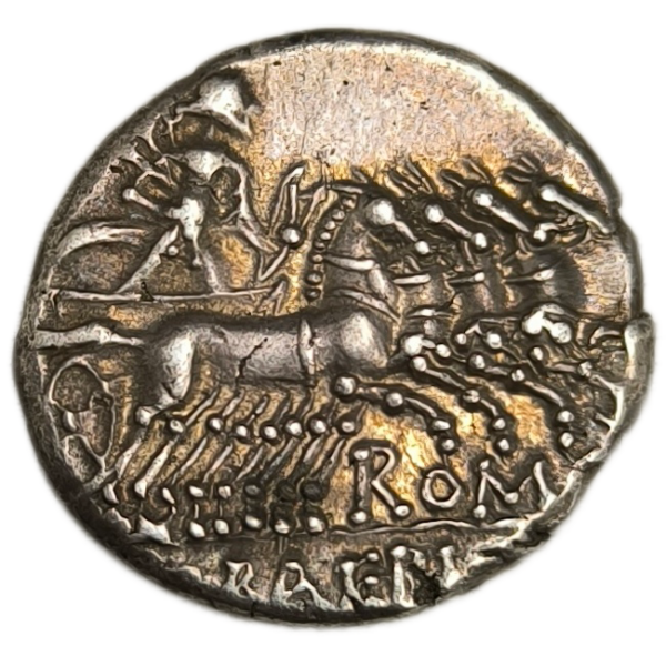 République Romaine, Baebia, denier