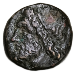 Sicile / Syracuse, Hiéron II, bronze