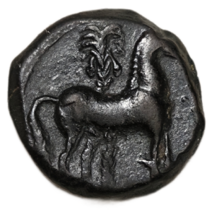 Zeugitane / Carthage, unité